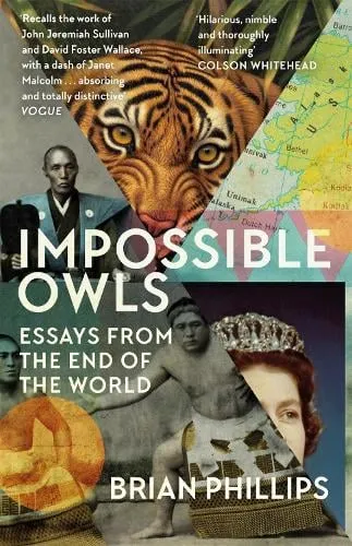 Brian Phillips Impossible Owls