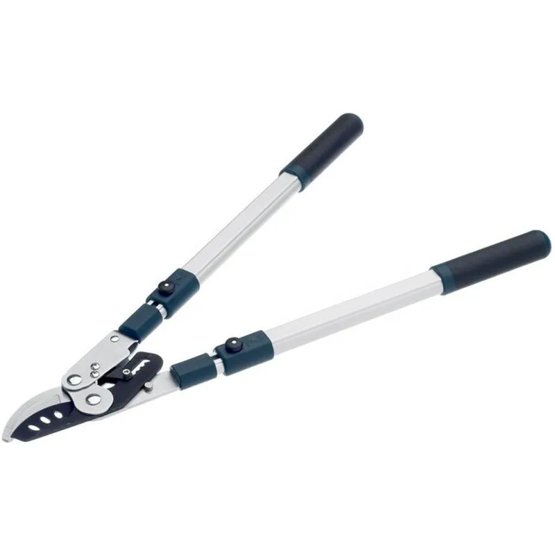 Bulldog Evergreen Extendable Bypass Loppers