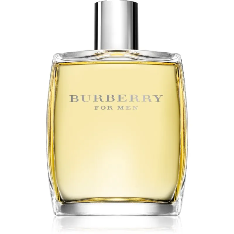 Burberry M Edt M 100 ml
