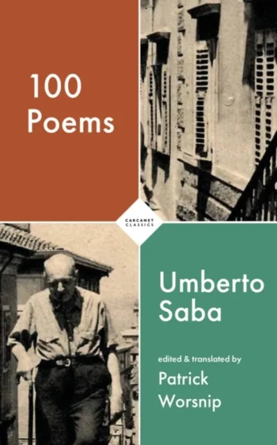 Carcanet Press Ltd 100 Poems