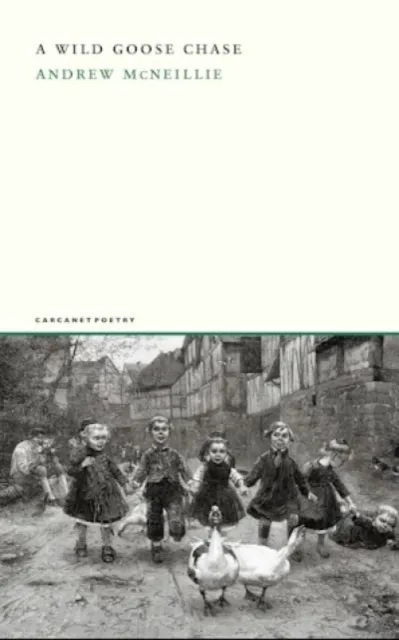 Carcanet Press Ltd A Wild Goose Chase