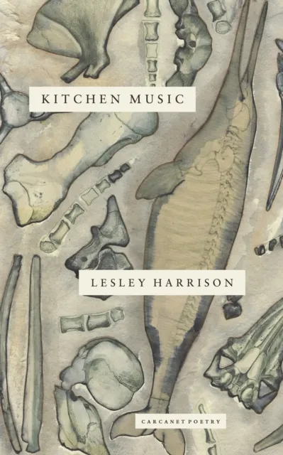 Carcanet Press Ltd Kitchen Music