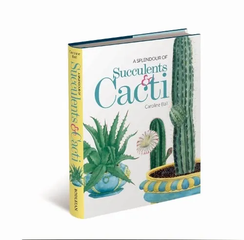 Caroline Ball A Splendour of Succulents & Cacti