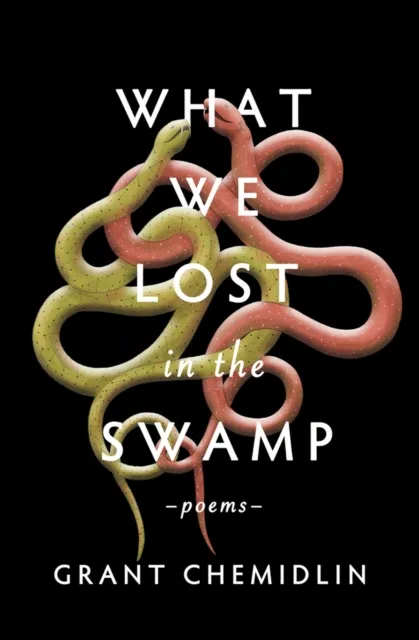 Central Avenue Publishing What We Lost In The Swamp : Poems