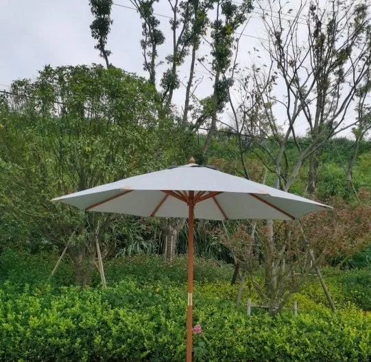 Charles Taylor Trading Grey Parasol in Brown Brown