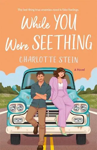 Charlotte Stein While You Were Seething