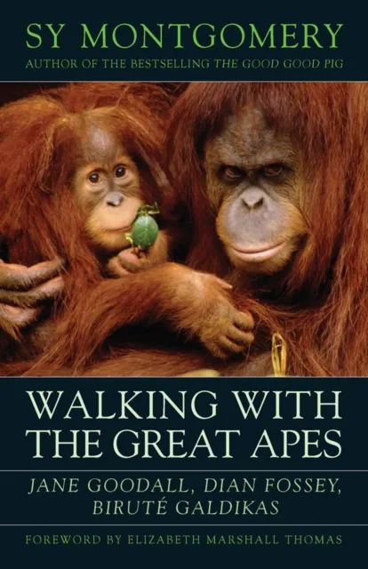 Chelsea Green Publishing Co Walking With The Great Apes : Jane Goodall, Dian Fossey, Birute Galdikas