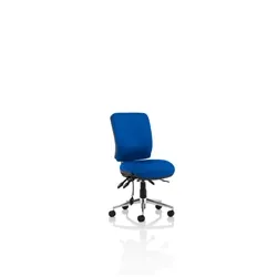 Chiro Medium Back Blue - OP000248