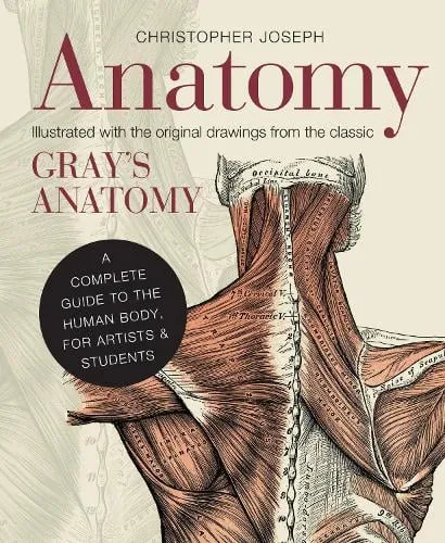 Christopher Joseph Anatomy