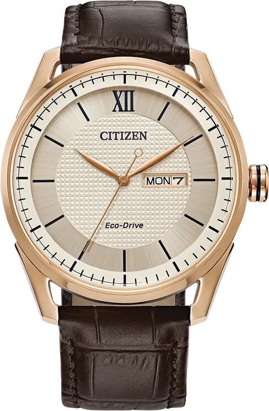 Citizen Men's Strap Men's
