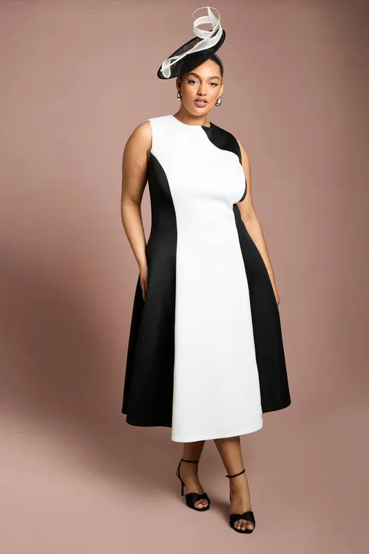 Coast Women's Plus Mono Colour Block Midi Dress Size: 20 Mono female