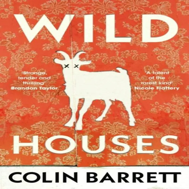 Colin Barrett Wild Houses Hardback Book Multicolor