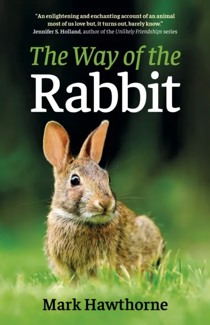 Collective Ink Way Of The Rabbit, The