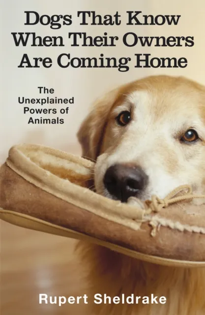 Cornerstone Dogs That Know When Their Owners Are Coming Home : And Other Unexplained Powers Of Animals