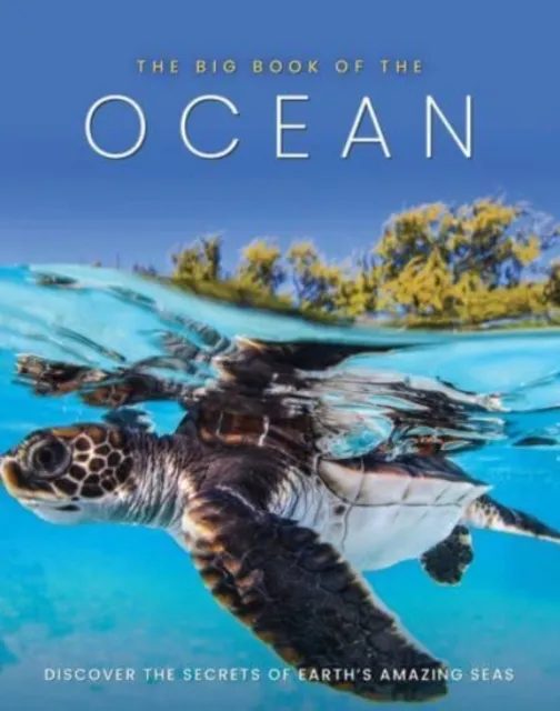 Danann Media Publishing Limited The Big Book Of The Ocean