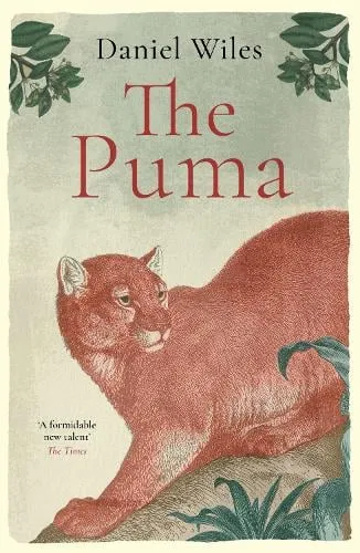 Daniel Wiles The Puma