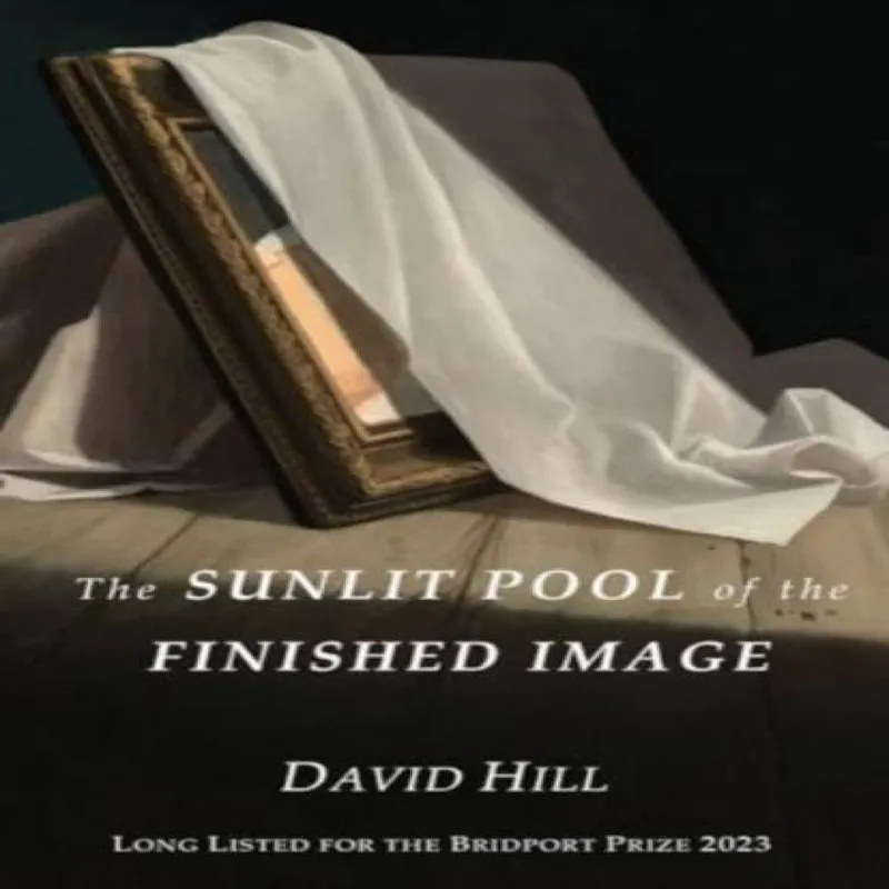 David Hill Sunlit Pool of the Finished Image Paperback Book Multicolor