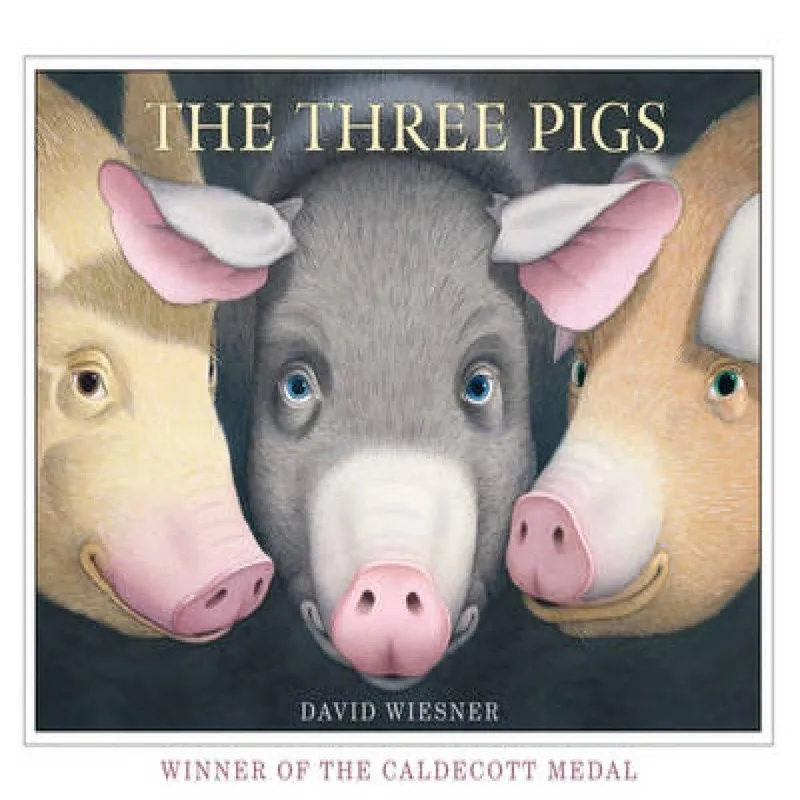 David Wiesner Three Pigs Paperback Book Multicolor