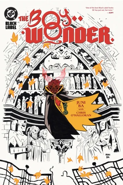 DC Comics The Boy Wonder