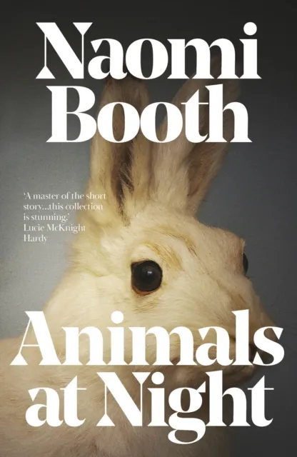 Dead Ink Books Animals At Night