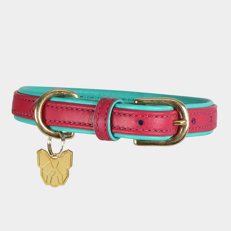 Digby & Fox Padded Leather Dog Collar Pink