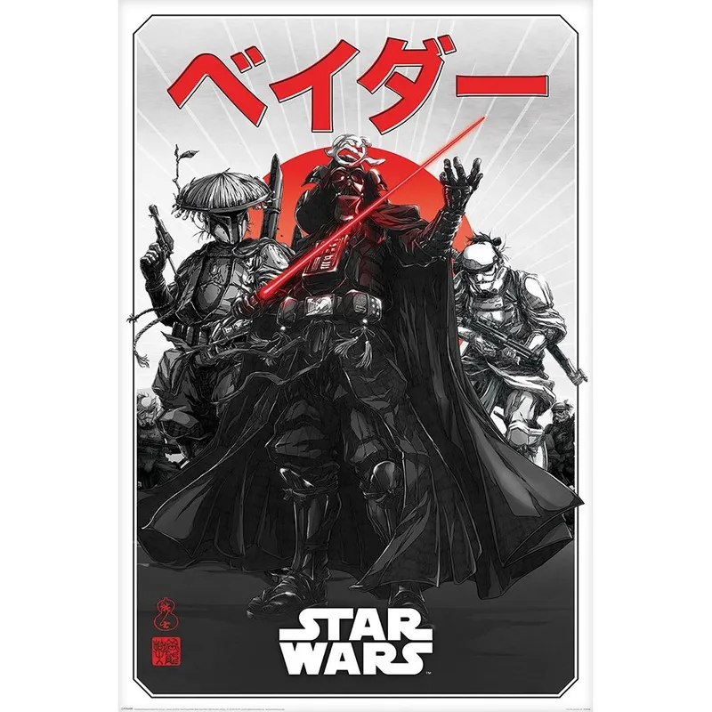 Disney Star Wars Poster in Black Black