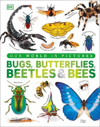 DK Bugs, Butterflies, Beetles and Bees
