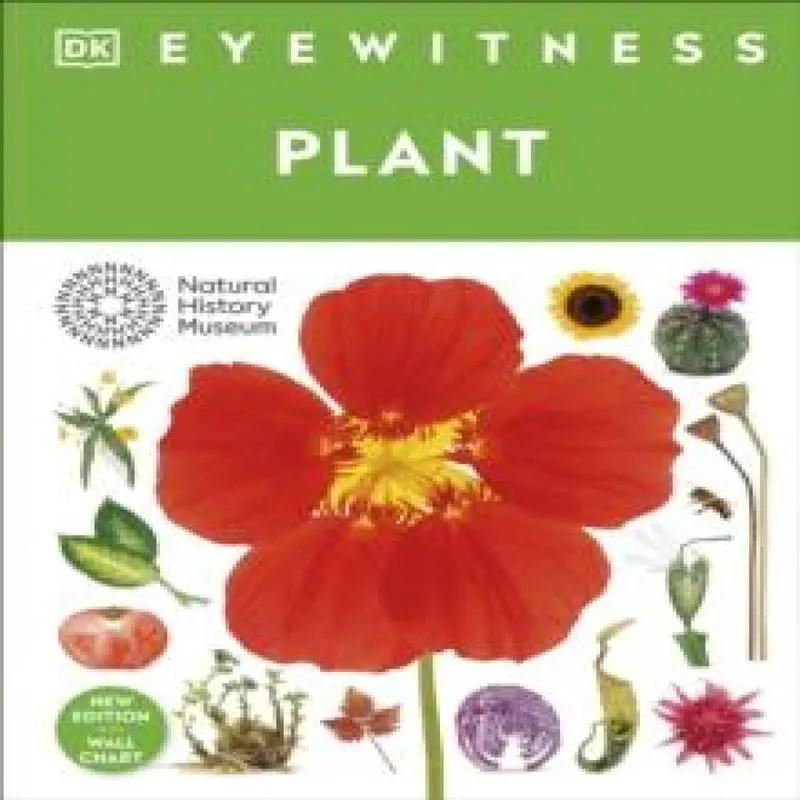 Dorling Kindersley Ltd Eyewitness Plant
