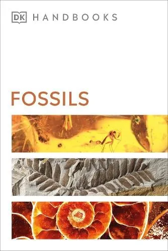 DK Fossils