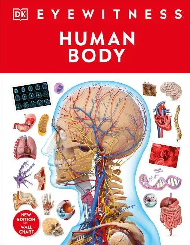 DK Human Body