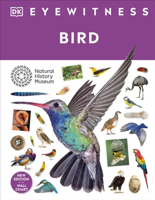 Dorling Kindersley Ltd Bird
