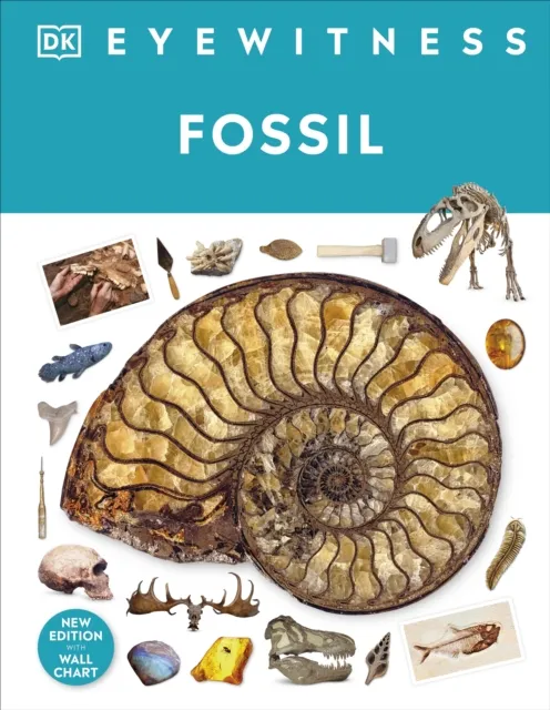 Dorling Kindersley Ltd Fossil