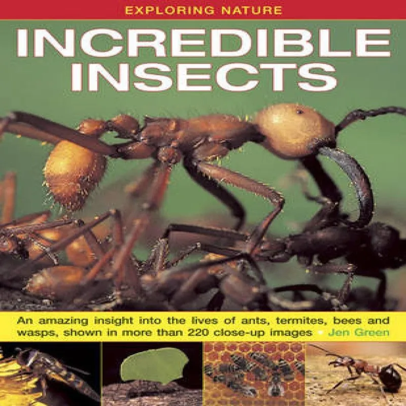 Dr Jen Green Exploring Nature: Incredible Insects Hardback Book Multicolor