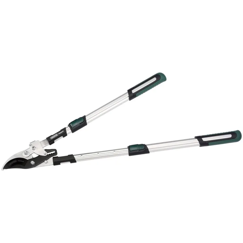 Draper Expert 36819 Telescopic SoftGrip Bypass Ratchet Action Lopp...