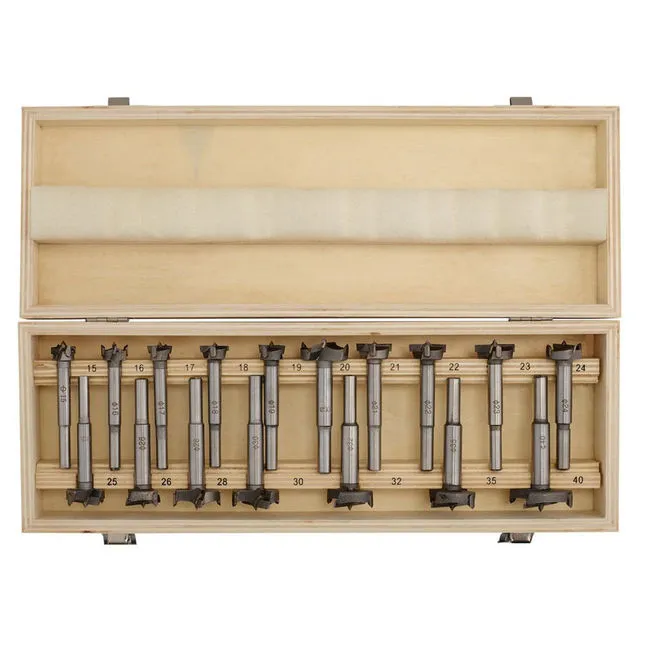 Draper 17 Piece Forstner Drill Bit Set