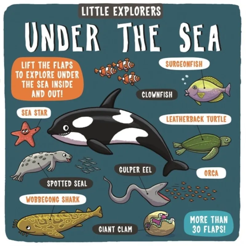 Dynamo Ltd. Little Explorers: Under the Sea
