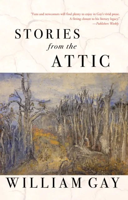 Dzanc Books Stories From The Attic
