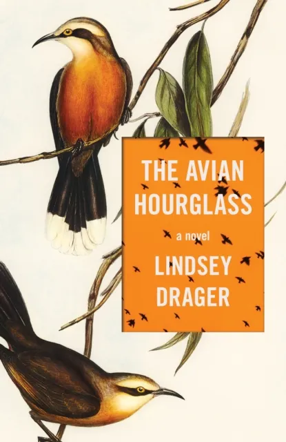 Dzanc Books The Avian Hourglass