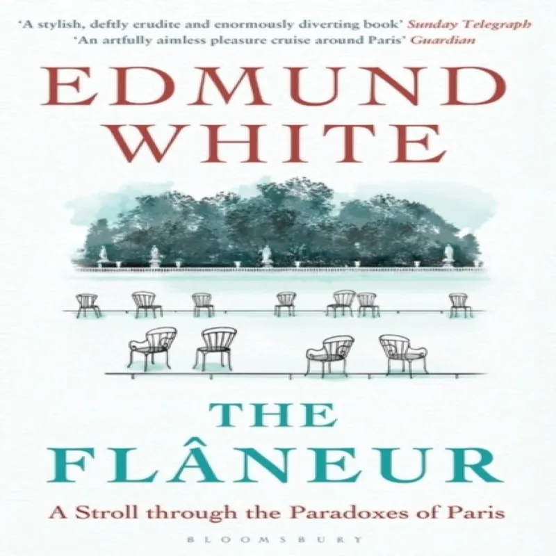 Edmund White The Flaneur Paperback Book Multicolor