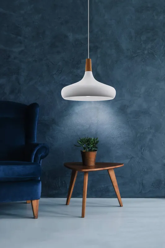 Eglo Sabinar White Metal/Wood Single Pendant Light - White