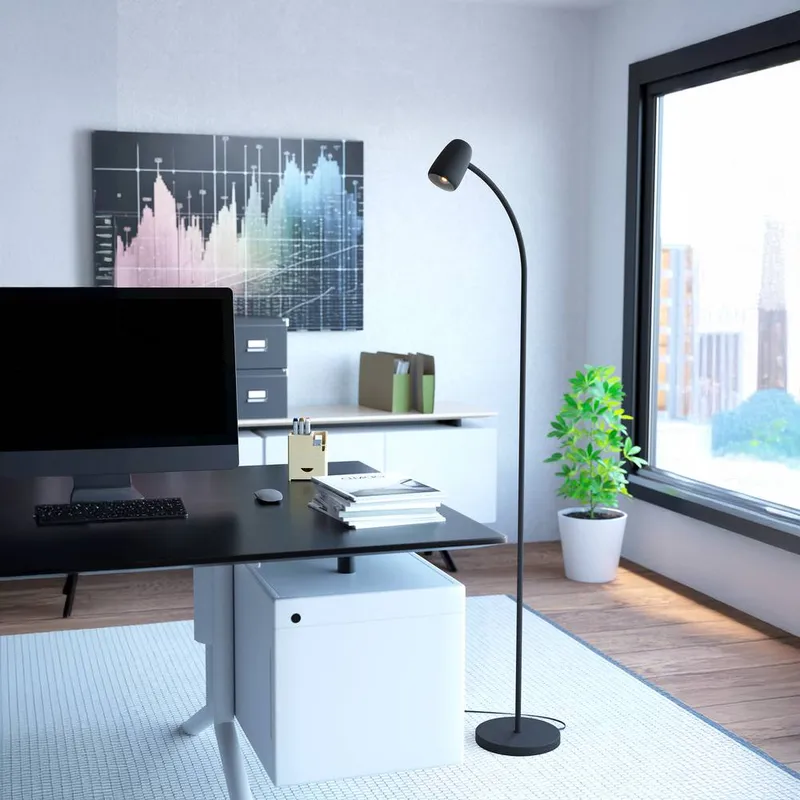 Eglo Carlo Modern Steel Flexible Floor Lamp, Black Black