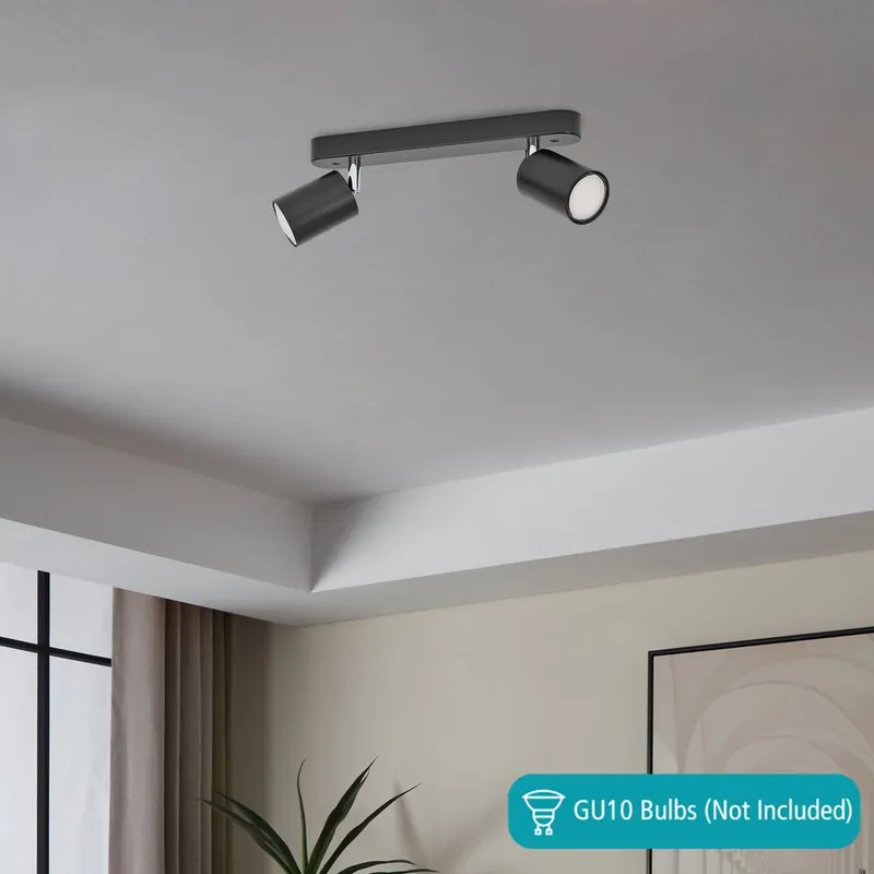 Eglo Reciso-E Black Steel 2-Light Spotlight Black