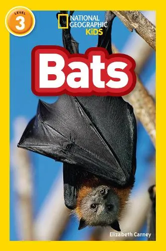 Elizabeth Carney Bats