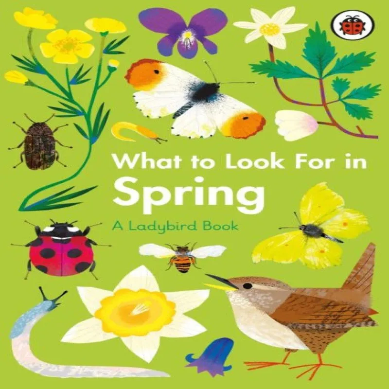 Elizabeth Jenner What to Look For in Spring