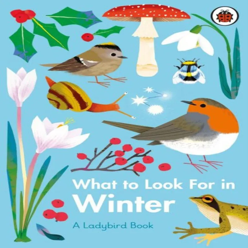 Elizabeth Jenner What to Look For in Winter Hardback Book Multicolor