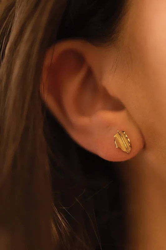 Elk & Bloom Women's 14k Gold Leaf Stud Earrings - Gold
