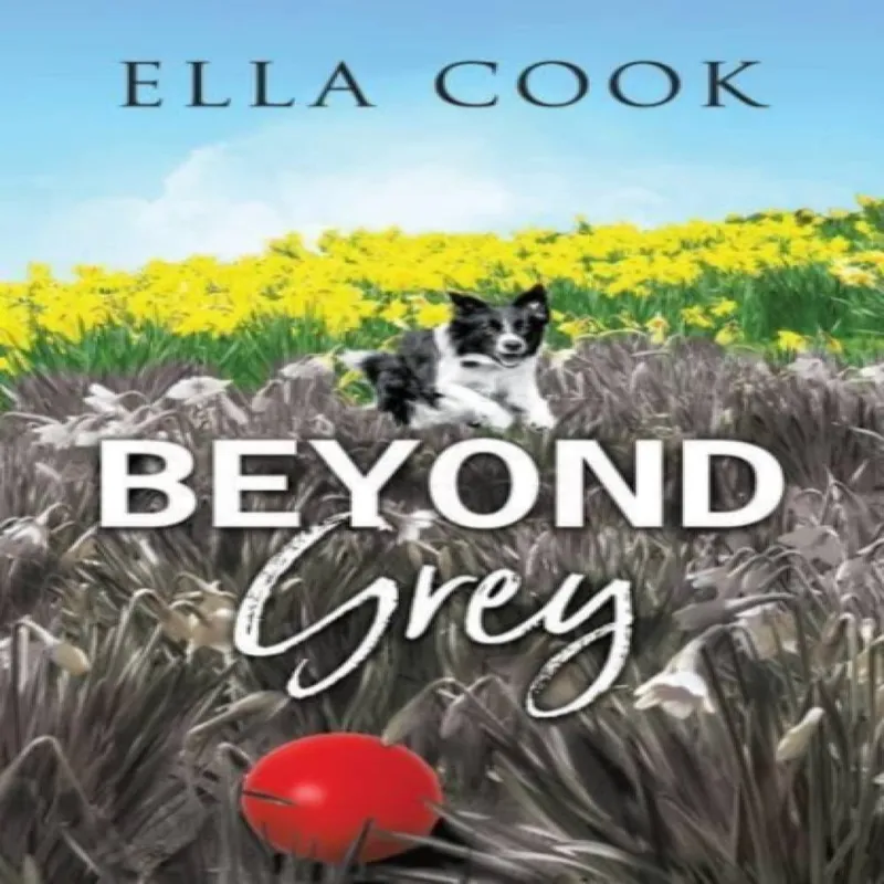 Choc Lit Publishing Beyond Grey