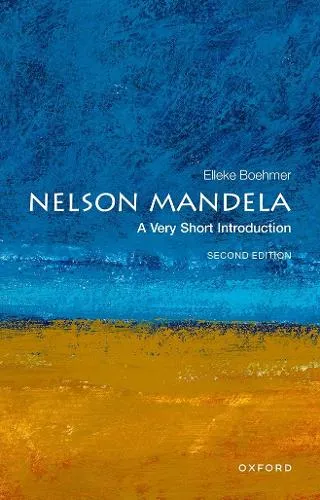Elleke Boehmer Nelson Mandela