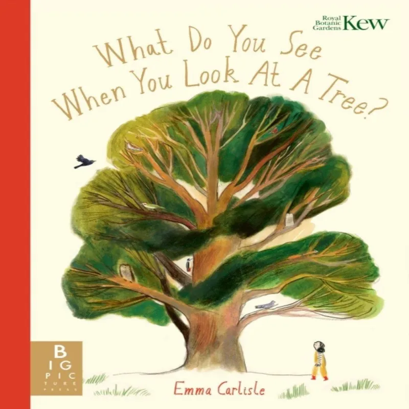 Templar Books What Do You See When You Look At A Tree?