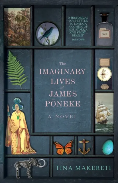Eye Books The Imaginary Lives Of James Poneke
